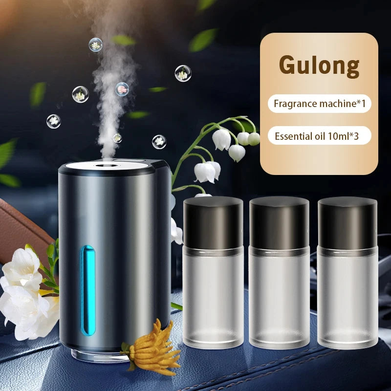 Electric Car Air Diffuser and Humidifier
